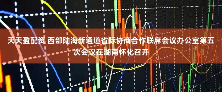 天天盈配资 西部陆海新通道省际协商合作联席会议办公室第五次会议在湖南怀化召开